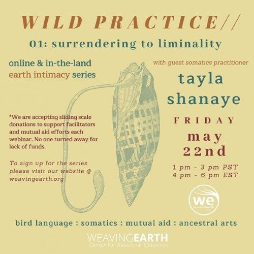 Wild Practice Webinar 01